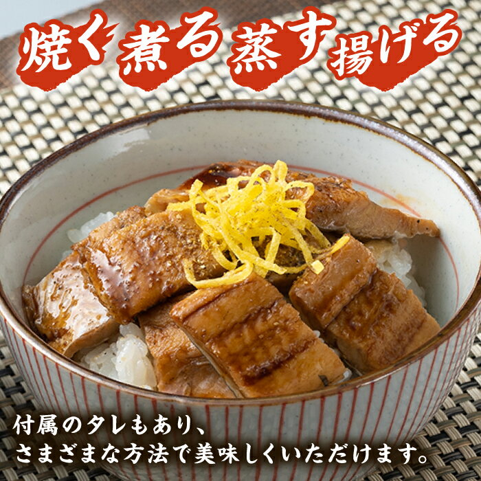 【ふるさと納税】対馬産 アナゴ 穴子 詰め合わせ 10PAC《 対馬市 》【対馬水産株式会社】対馬 新鮮 とろ あなご ふわふわ 煮穴子 白焼き 穴子重 天ぷら 冷凍 海鮮 [WAV002] 22000 22000円