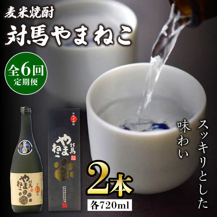 【ふるさと納税】【全6回定期便】麦米焼酎 対馬やまねこ 25度 720ml 2本セット《対馬市》【株式会社サイキ】対馬 酒 贈り物 米焼酎 プレゼント 焼酎[W...