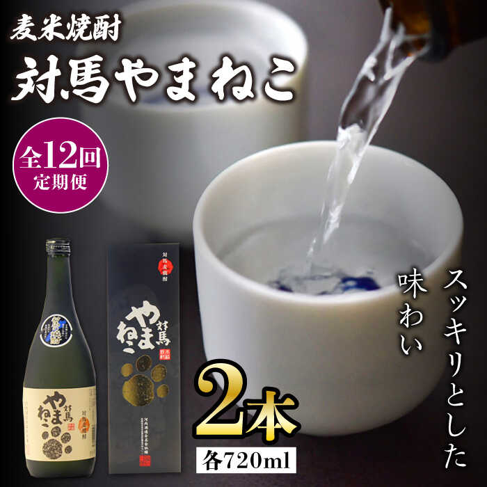 【ふるさと納税】【全12回定期便】麦米焼酎 対馬やまねこ 25度 720ml 2本セット《対馬市》【株式会社サイキ】対馬 酒 贈り物 米焼酎 プレゼント 焼酎[WAX024]