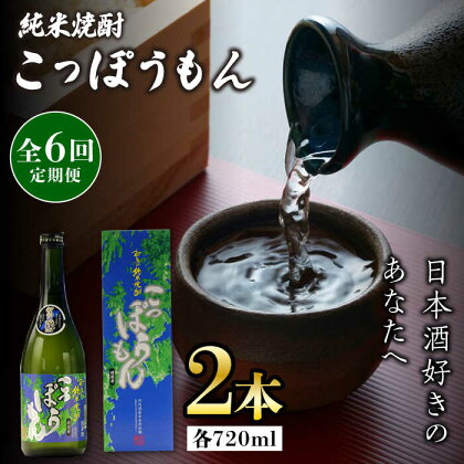 【全6回定期便】純米焼酎 こっぽうもん 25度 720ml 2本セット《対馬市》【株式会社サイキ】対馬 酒 贈り物 米焼酎 プレゼント 焼酎[WAX026]