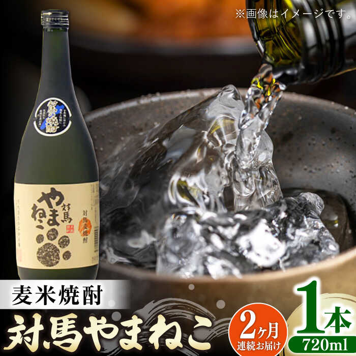 【ふるさと納税】【全2回定期便】麦米焼酎 対馬やまねこ 25度 720ml 2本セット《対馬市》【株式会社サイキ】対馬 酒 贈り物 米焼酎 プレゼント 焼酎[W...