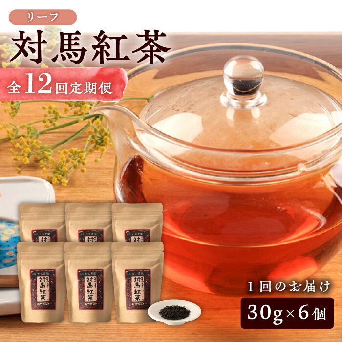 【ふるさと納税】【全12回定期便】対馬 紅茶 リーフ 30g×6個 《対馬市》【つしま大石農園】ティー 国産 [WBE007]