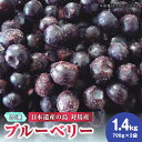 【24年7月以降発送】【好評につき予約受付中】【ふるさと納税】大容量 ブルーベリー 1.4kg 冷凍 【 さほの里ファーム 】《 対馬市 》 離島 対馬 有機肥料 旬 果物 フルーツ [WBG001]