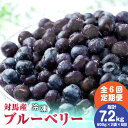 【先行予約】【ふるさと納税】【全6回定期便】大容量 対馬産 ブルーベリー ( 冷凍 ) 1.2kg【2025年7月上旬以降順次発送】【 さほの里ファーム 】《 ...