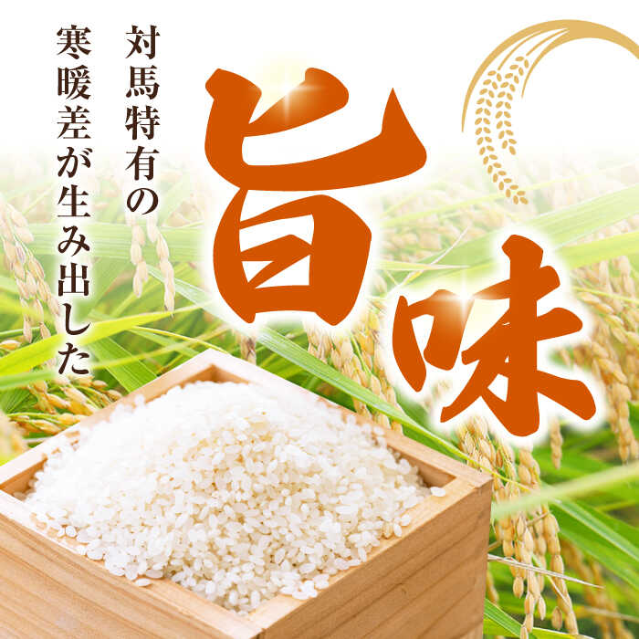 【ふるさと納税】【全3回定期便】対馬産 なつほのか 5kg 《対馬市》【農事組合法人 樫椎小原】 米 新米 定期便 お米 対馬[WCQ001]