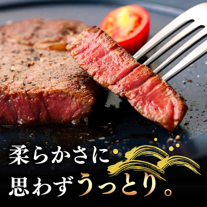 【ふるさと納税】壱岐牛 ヒレステーキ 牛肉 ヒレ肉 A4 A5 120g × 3枚 《 壱岐市 》【壱岐市ふるさと商社】 [JAA010] 冷凍配送 黒毛和牛 A5ランク シャトーブリアン 30000 30000円 3万円