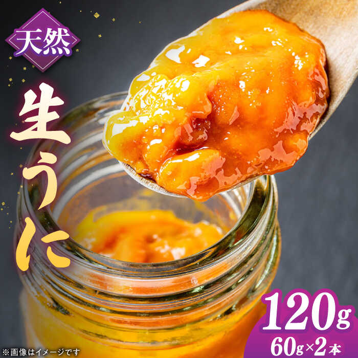 【ふるさと納税】壱岐産 生うに 60g×2本《壱岐市》【馬渡水産】 生ウニ うに ウニ 雲丹 紫うに ムラサ...