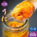 【ふるさと納税】【25年6月以降発送】【予約受付中】壱岐産 冷凍 生うに 60g×1本《壱岐市》【馬渡水産】 生ウニ うに ウニ 雲丹 紫うに ムラサキウニ 海...