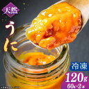 【ふるさと納税】【25年6月以降発送】【予約受付中】壱岐産 冷凍 生うに 60g×2本《壱岐市》【馬渡水産】 生ウニ うに ウニ 雲丹 紫うに ムラサキウニ 海...