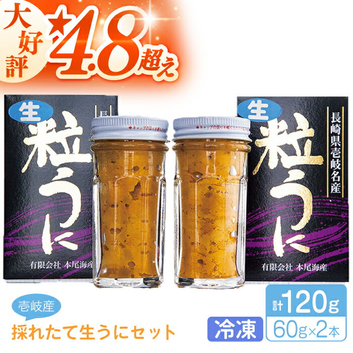 【ふるさと納税】採れたて生うに 60g×2本 《壱岐市》【本尾海産】[JAR003] 生うに ウニ うに 雲丹 海...