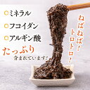 長崎県壱岐市の画像3