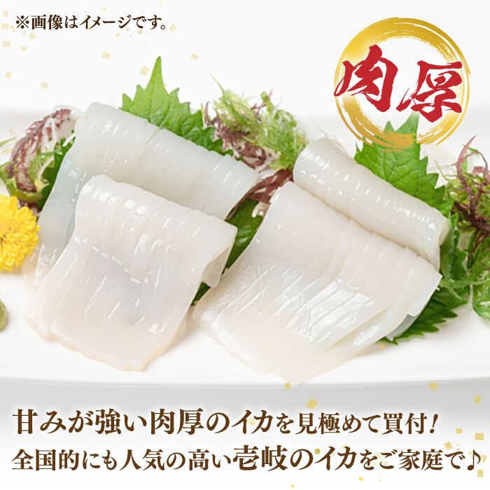 【ふるさと納税】刺身用 剣先イカ 10杯（約2kg）（急速冷凍）《壱岐市》【魚助】 イカ いか 剣先いか ケンサキイカ 刺身 刺し身 お刺身 鮮魚 海鮮[JFX001]