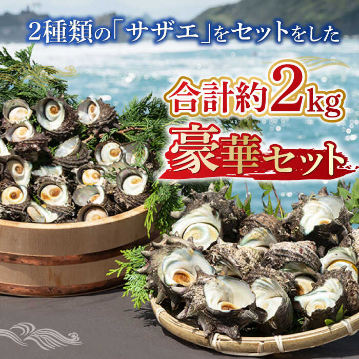【ふるさと納税】【先行予約】壱岐島 サザエ 2種セット 合計約2kg 【配送期間：2026/6/30〜10/30】《壱岐市》【マルショウ水産】[JBB002] 25000 25000円 お刺身 産地直送 冷蔵配送 サザエ さざえ 栄螺 つぼ焼き 冷蔵 生 刺身 BBQ