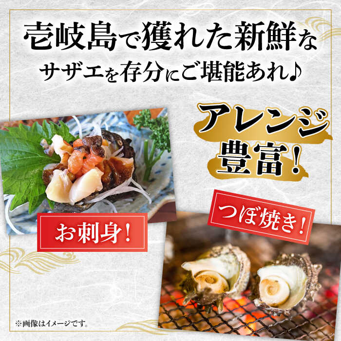 【ふるさと納税】壱岐島 サザエ 2種セット 合計約2kg 《壱岐市》【マルショウ水産...