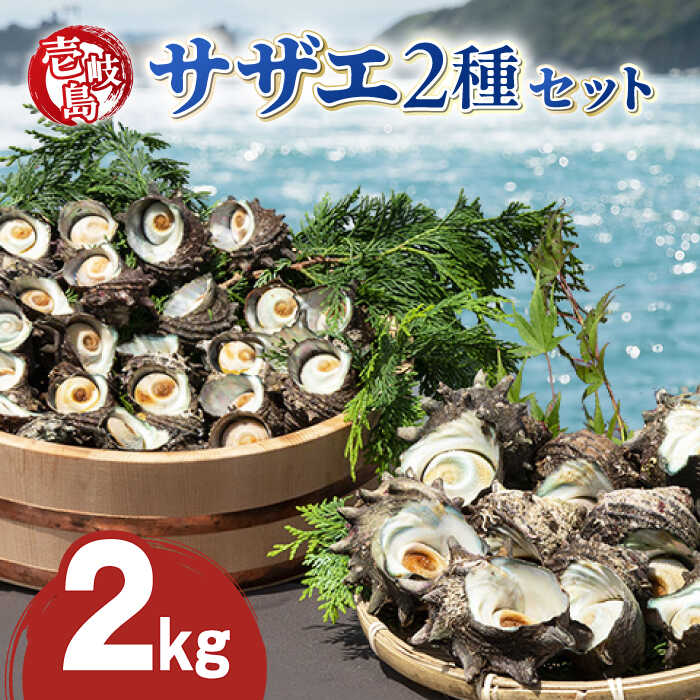 壱岐島 サザエ 2種セット 合計約2kg [壱岐市][マルショウ水産][JBB002] 23000 23000円 お刺身 産地直送 冷蔵配送 サザエ さざえ 栄螺 つぼ焼き 冷蔵 生 刺身 BBQ