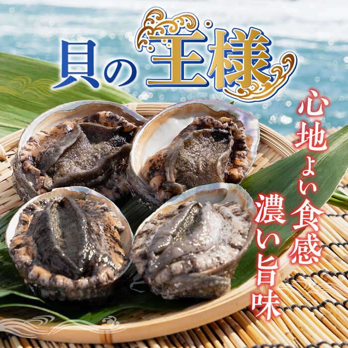 【ふるさと納税】【先行予約】壱岐島 アワビ 合計約500g（100〜200g/個）【配送期間：2026/6/30～10/30】《壱岐市》【マルショウ水産】 [JBB003] 46000 46000円 お刺身 冷蔵配送 産地直送 あわび 鮑 刺身 貝 魚貝