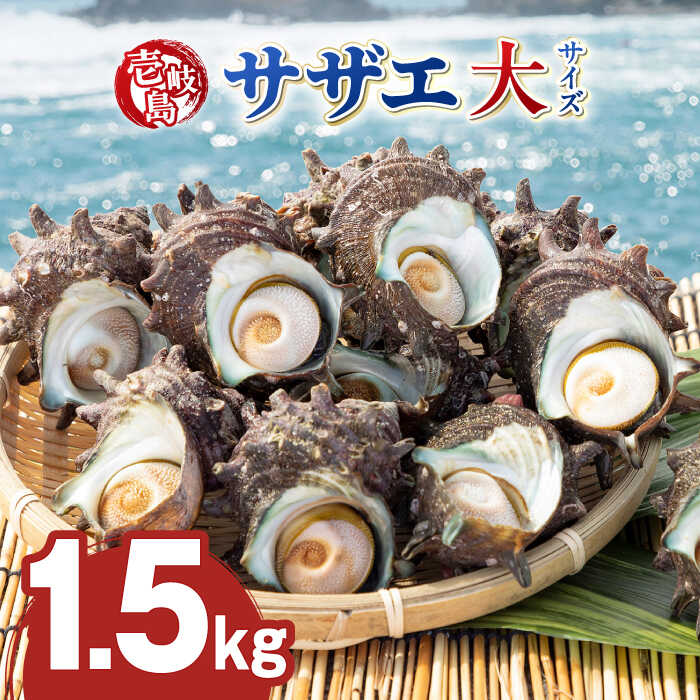 【ふるさと納税】壱岐島 サザエ（大） 合計約1.5kg 《壱岐市》【マルショウ水産】[JBB004] 15000 1500...