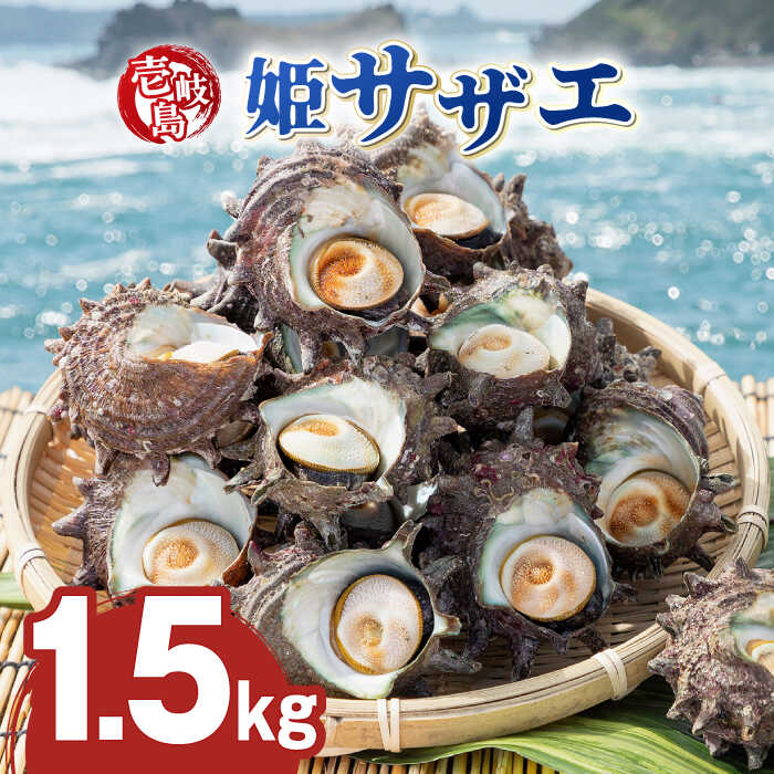 【ふるさと納税】壱岐島 姫サザエ 合計約1.5kg 《壱岐...