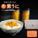 【ふるさと納税】【予約受付中】紫うに 60g×2本《壱岐...