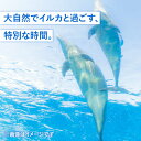 【ふるさと納税】1日イルカトレーナー体験 《壱岐市》【壱岐イルカパーク＆リゾート】[JBF002] 50000 50000円 5万円 2