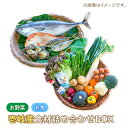 【ふるさと納税】壱岐産食材詰め合わせBOX「野菜と魚」 [JBF012] 詰め合わせ セット 野菜 魚 鮮魚 旬 40000 40000円 4万円 冷蔵配送