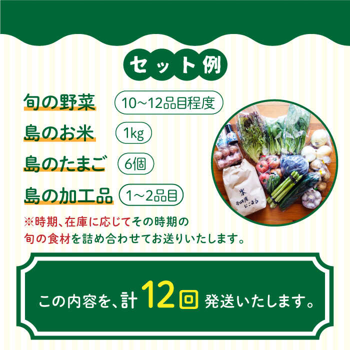 【ふるさと納税】【全12回定期便】壱岐産食材詰め合わせBOX「野菜」[JBF017] 野菜 旬 詰め合わせ セット 240000 240000円 24万円