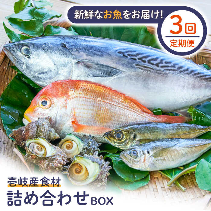 【ふるさと納税】【全3回定期便】壱岐産食材詰め合わせBOX「魚」[JBF021] 詰め合わせ セット 魚 鮮魚 66000 66000円 6万円 冷蔵配送