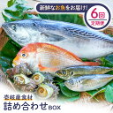 壱岐産食材詰め合わせBOX「魚」 詰め合わせ セット 魚 鮮魚 120000 120000円 12万円 冷蔵配送
