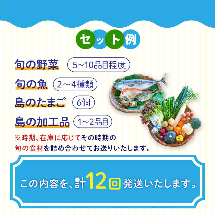 【ふるさと納税】【全12回定期便】壱岐産食材詰め合わせBOX「野菜と魚」[JBF026] 詰め合わせ 野菜 卵 鮮魚 セット 480000 480000円 48万円