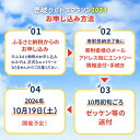 【ふるさと納税】【2024年10月19日開催】神々の島 壱岐ウルトラマラソン2024【50kmの部】参加権 1名様分 [JBH004] 40000 40000円 4万円 3