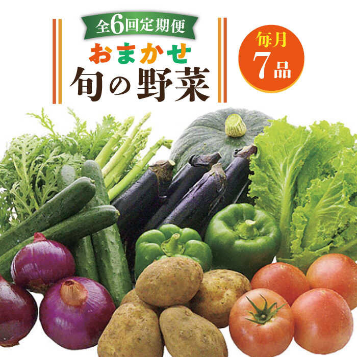 旬の野菜セット 10品 《壱岐市》 野菜 ベジタブル 食材 詰め合わせ 産地直送 野菜セット グルメ 春 夏 秋 冬 旬 サラダ 冷蔵 夏野菜 スムージー 定期便 60000 60000円 冷蔵配送