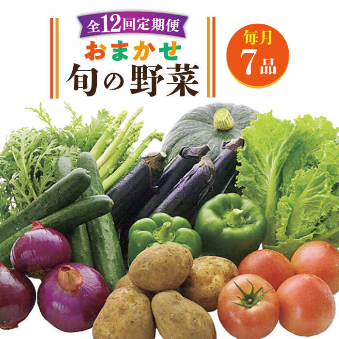 【ふるさと納税】【全12回定期便】旬の野菜セット 7品《壱岐市》【壱岐市農業協同組合】 [JBO046] 野菜 ベジタブル 食材 詰め合わせ 産地直送 野菜セット グルメ 春 夏 秋 冬 旬 サラダ 冷蔵 夏野菜 スムージー 定期便 108000 108000円 冷蔵配送 その1