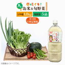 【ふるさと納税】【全6回定期便】壱岐産米つや姫1.8kg・ 旬の野菜5品 《壱岐市》【壱岐市農業協同組合】 [JBO051] 野菜 やさい セット 米 お米 ご飯 お弁当 詰め合わせ 旬 新鮮 鮮度 夏野菜 定期便 60000 60000円 冷蔵配送