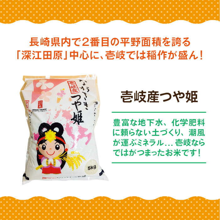 【ふるさと納税】【全3回定期便】壱岐産 つや姫 5kg《壱岐市》【壱岐市農業協同組合】 [JBO056] 米 お米 白米 ご飯 ごはん 5キロ お弁当 朝食 定期便 27000 27000円