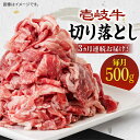 《A4～A5ランク》壱岐牛切り落とし 500g  冷凍配送 黒毛和牛 A5ランク 肉 牛肉 切落し すき焼き しゃぶしゃぶ 鍋 うす切り 細切れ 赤身 定期便 33000 33000円 すき焼用 しゃぶしゃぶ用 切り落とし