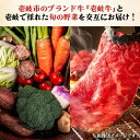 【ふるさと納税】【全6回定期便】《A4～A5ランク》壱岐牛と旬の野菜定期便《壱岐市》【壱岐市農業協同組合】 [JBO078] 冷凍配送 黒毛和牛 A5ランク 壱岐牛 肉 黒毛和牛 野菜 旬 詰め合わせ 贅沢 BBQ 152000 152000円 2