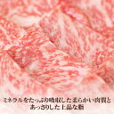 【ふるさと納税】【全12回定期便】《A4～A5ランク》 壱岐牛 肩ロース 300g（焼肉用）《壱岐市》【壱岐市農業協同組合】[JBO094] 冷凍配送 黒毛和牛 A5ランク 肉 牛肉 肩ロース 焼肉 焼き肉 BBQ 赤身 定期便 焼肉用 3