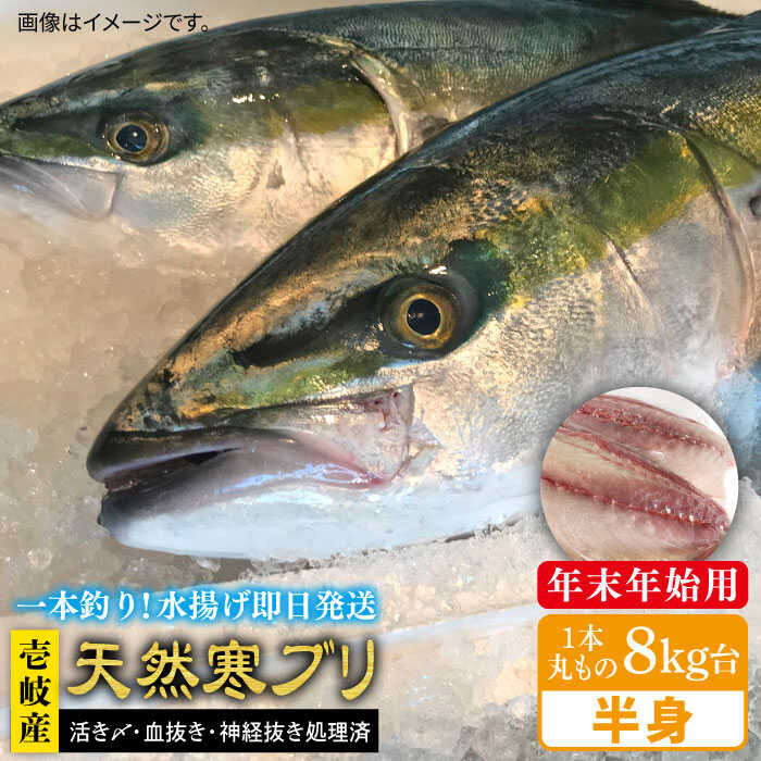 【11/1～1/15お届け 年末年始用】壱岐島産天然寒ブリ（一本丸ものサイズ8キロ台 半身ブロック）《壱岐市》ぶり 寒ぶり ブリ 魚 刺身 しゃぶしゃぶ【壱岐島 玄海屋】 [JBS103] 117000 117000円 のし プレゼント ギフト 冷蔵配送