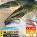 【ふるさと納税】【11/1～1/15お届け 年末年始用】壱岐島産天然寒ブリ（一本丸ものサイズ8キロ台 半身ブロック）《壱岐市》ぶり 寒ぶり..