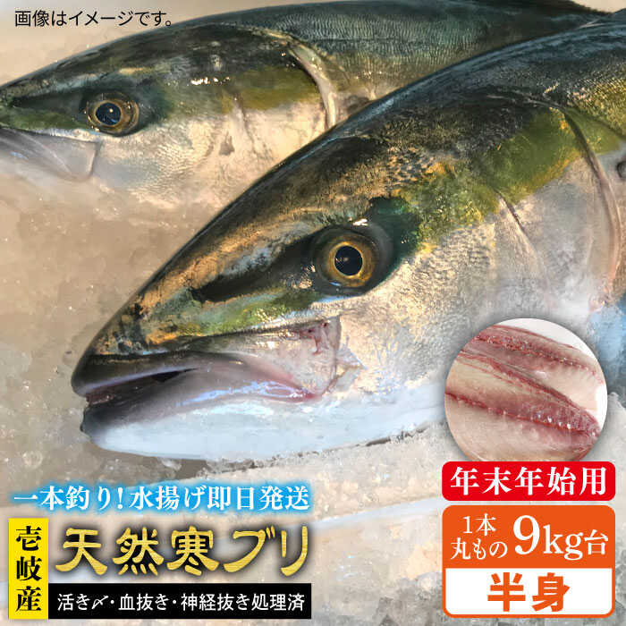 【11/1～1/15お届け 年末年始用】壱岐島産天然寒ブリ（一本丸ものサイズ9キロ台 半身ブロック）《壱岐市》ぶり 寒ぶり ブリ 魚 刺身 しゃぶしゃぶ【壱岐島 玄海屋】 [JBS104] 143000 143000円 のし プレゼント ギフト 冷蔵配送