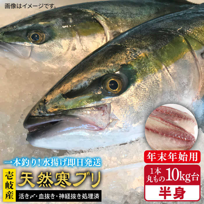 [11/1〜1/15お届け 年末年始用]壱岐島産天然寒ブリ(一本丸ものサイズ10キロ台 半身ブロック)[壱岐市]ぶり 寒ぶり ブリ 魚 刺身 しゃぶしゃぶ[壱岐島 玄海屋] [JBS105] 172000 172000円 のし プレゼント ギフト 冷蔵配送