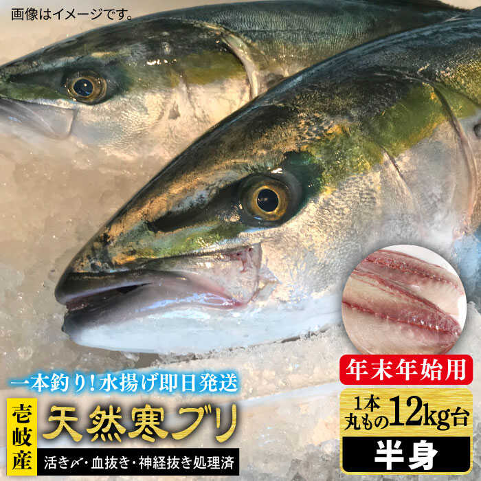 【11/1～1/15お届け 年末年始用】壱岐島産天然寒ブリ（一本丸ものサイズ12キロ台 半身ブロック）《壱岐市》ぶり 寒ぶり ブリ 魚 刺身 しゃぶしゃぶ【壱岐島 玄海屋】 [JBS107] 222000 222000円 のし プレゼント ギフト 冷蔵配送