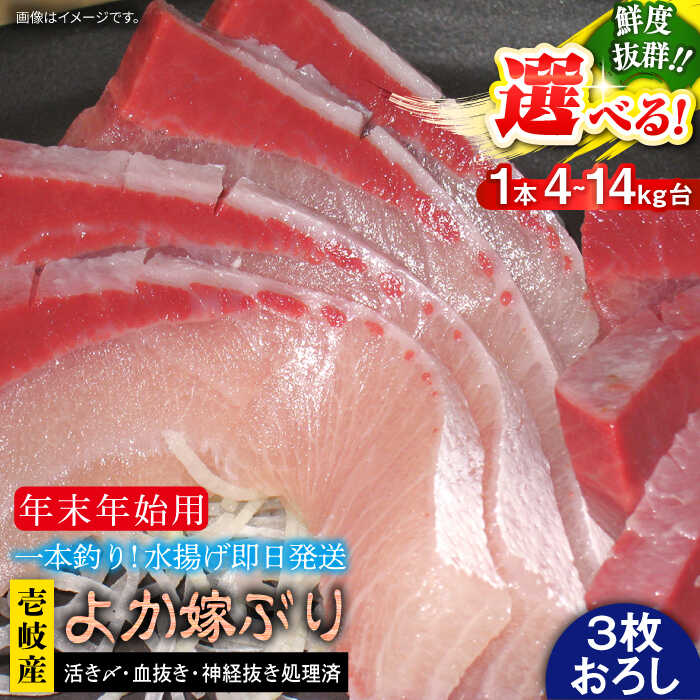 [12/20〜翌1/5お届け]壱岐島産天然寒ブリ よか嫁ぶり(選べる4-14キロ台・3枚おろし)[壱岐市][壱岐島 玄海屋]