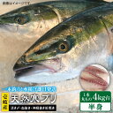 【ふるさと納税】【1 16～3月末お届け】壱岐島産天然寒ブリ（一本丸ものサイズ4キロ台の半身ブロック） 《壱岐市》【壱岐島　玄海屋】[..