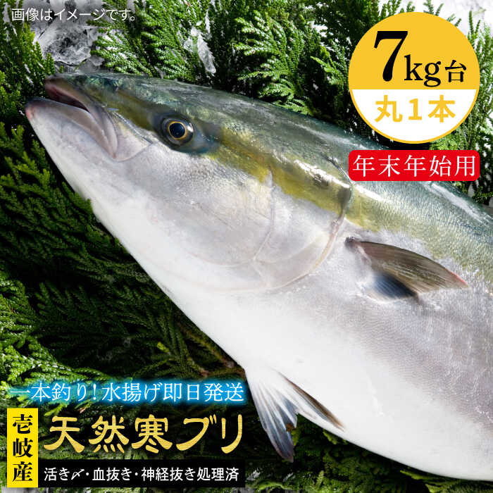 #/海産物/ブリ/単品/釣れたての鮮度を、 そのままお届け 魚は鮮度が命。適切な処理、及び冷蔵発送こそが美味しさの秘訣だと私たちは考えます。 私たちのこだわり お刺身や料理にも 即日発送！！！ 一本釣りで活き〆、神経抜き、血抜き処理された鮮度抜群の天然寒ブリを水揚げ即日配送！ ※必ずお読みください ご不在などで受取りが出来ず、商品が返送になった場合の再送は出来かねますので、予めご了承ください。 商品説明 名称【年末年始用】壱岐島産天然寒ブリ（7キロ台・丸もの） 内容量◆玄界灘の寒ぶり 丸1本のまま 配送方法冷蔵 ※氷詰めで配送。 配送期日11/1〜1/15配達 ※必ず希望日を備考欄にご記入ください。 お届け先によっては、配達希望日時の2日前に発送する場合がございます。 あらかじめご了承ください。【お届け不可：1月2日〜1月6日着指定不可（1月7日以降お届け可能）】 消費期限発送日より冷蔵にて5日 提供事業者壱岐島 玄海屋 0920-44-5310 ※お読みください 離島のため、天候や船の運行状況により、お届け日が前後する場合がございます。※年末年始の物流量増加に伴い、日付指定通りのお届けが叶わない恐れがございます。 ご了承の上、お申込みいただきますようお願い申し上げます。 #/海産物/鮮魚/ブリ/ その他壱岐島天然寒ブリはこちら 【年末年始用】壱岐島産天然寒ブリ（一本丸ものサイズ7キロ台の半身ブロック） 《壱岐市》【壱岐島　玄海屋】 ぶり/寒ぶり/ブリ/魚/刺身/しゃぶしゃぶ 【年末年始用】壱岐島産天然寒ブリ（7キロ台・3枚おろし） 《壱岐市》【壱岐島　玄海屋】 ぶり/寒ぶり/ブリ/魚/刺身/しゃぶしゃぶ ※年末の申込について※ 12月は注文が集中するため、記載の配送期日通りのお届けができない場合がございます。 予めご了承ください。