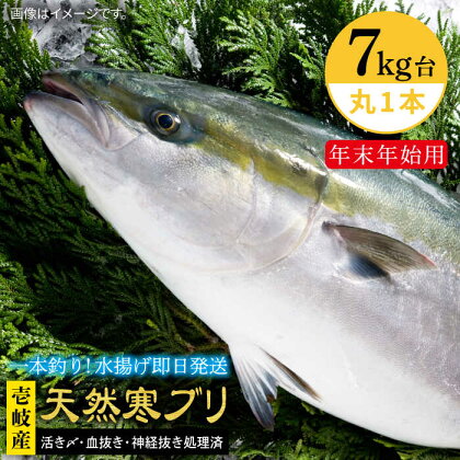 【11/1～1/15お届け 年末年始用】天然 寒ブリ（7キロ台・丸もの） 《壱岐市》【壱岐島　玄海屋】[JBS016] ぶり 寒ぶり ブリ 魚 刺身 しゃぶしゃぶ 140000 140000円 14万 のし プレゼント ギフト 冷蔵配送