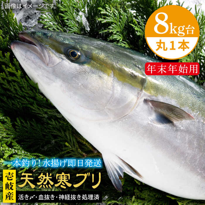 #/海産物/ブリ/単品/釣れたての鮮度を、 そのままお届け 魚は鮮度が命。適切な処理、及び冷蔵発送こそが美味しさの秘訣だと私たちは考えます。 私たちのこだわり お刺身や料理にも 即日発送！！！ 一本釣りで活き〆、神経抜き、血抜き処理された鮮度抜群の天然寒ブリを水揚げ即日配送！ ※必ずお読みください ご不在などで受取りが出来ず、商品が返送になった場合の再送は出来かねますので、予めご了承ください。 商品説明 名称【年末年始用】壱岐島産天然寒ブリ（8キロ台・丸もの） 内容量◆玄界灘の寒ぶり 丸1本のまま 配送方法冷蔵 ※氷詰めで配送。 配送期日11/1〜1/15配達 ※必ず希望日を備考欄にご記入ください。 お届け先によっては、配達希望日時の2日前に発送する場合がございます。 あらかじめご了承ください。【お届け不可：1月2日〜1月6日着指定不可（1月7日以降お届け可能）】 消費期限発送日より冷蔵にて5日 提供事業者壱岐島 玄海屋 0920-44-5310 ※お読みください 離島のため、天候や船の運行状況により、お届け日が前後する場合がございます。※年末年始の物流量増加に伴い、日付指定通りのお届けが叶わない恐れがございます。 ご了承の上、お申込みいただきますようお願い申し上げます。 #/海産物/鮮魚/ブリ/ その他壱岐島天然寒ブリはこちら 【年末年始用】壱岐島産天然寒ブリ（8キロ台・3枚おろし） 《壱岐市》【壱岐島　玄海屋】 ぶり/寒ぶり/ブリ/魚/刺身/しゃぶしゃぶ ※年末の申込について※ 12月は注文が集中するため、記載の配送期日通りのお届けができない場合がございます。 予めご了承ください。