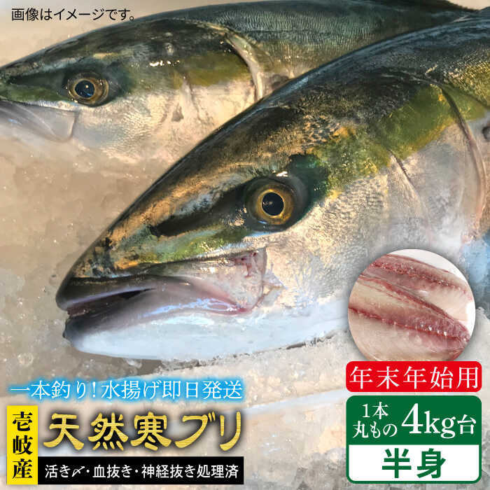 15位! 口コミ数「1件」評価「5」【11/1～1/15お届け 年末年始用】天然 寒ブリ（一本丸ものサイズ4キロ台の半身ブロック） 《壱岐市》【壱岐島　玄海屋】[JBS018]･･･ 