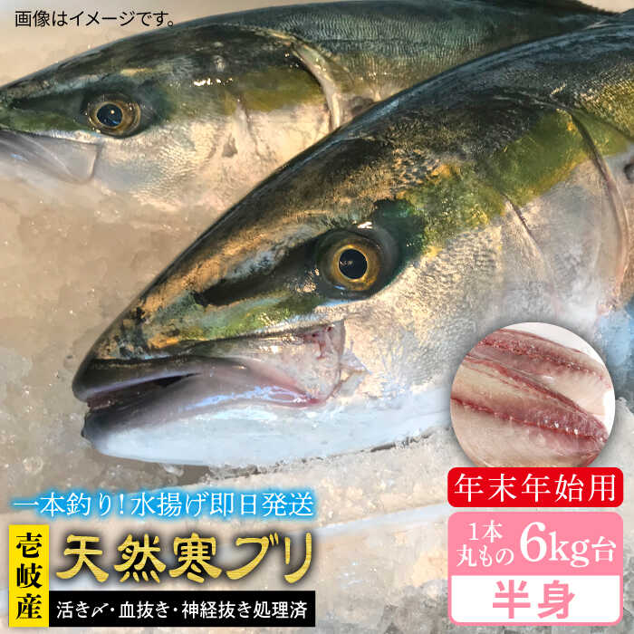 21位! 口コミ数「1件」評価「1」【11/1～1/15お届け 年末年始用】天然 寒ブリ（一本丸ものサイズ6キロ台の半身ブロック） 《壱岐市》【壱岐島　玄海屋】[JBS020]･･･ 