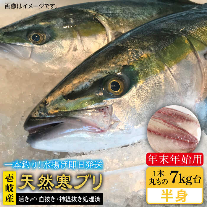 #/海産物/ブリ/単品/釣れたての鮮度を、 そのままお届け 魚は鮮度が命。適切な処理、及び冷蔵発送こそが美味しさの秘訣だと私たちは考えます。 私たちのこだわり お刺身や料理にも 即日発送！！！ 一本釣りで活き〆、神経抜き、血抜き処理された鮮度抜群の天然寒ブリを水揚げ即日配送！ 7キロ台のブリを半身ブロックに加工してお届けいたします。 ※必ずお読みください ご不在などで受取りが出来ず、商品が返送になった場合の再送は出来かねますので、予めご了承ください。 商品説明 名称【年末年始用】壱岐島産天然寒ブリ（一本丸ものサイズ7キロ台の半身ブロック） 内容量◆玄界灘の寒ぶり 半身ブロック ※丸モノで7kg台の寒ブリの半身となります。 ※頭と骨は煮物用としてカット処理済 配送方法冷蔵 配送期日11/1〜1/15配達 ※必ず希望日を備考欄にご記入ください。 お届け先によっては、配達希望日時の2日前に発送する場合がございます。 あらかじめご了承ください。【お届け不可：1月2日〜1月6日着指定不可（1月7日以降お届け可能）】 消費期限発送日より冷蔵にて5日 提供事業者壱岐島 玄海屋 0920-44-5310 ※お読みください 離島のため、天候や船の運行状況により、お届け日が前後する場合がございます。※年末年始の物流量増加に伴い、日付指定通りのお届けが叶わない恐れがございます。 ご了承の上、お申込みいただきますようお願い申し上げます。 #/海産物/鮮魚/ブリ/ その他壱岐島天然寒ブリはこちら 【年末年始用】壱岐島産天然寒ブリ（7キロ台・丸もの） 《壱岐市》【壱岐島　玄海屋】 ぶり/寒ぶり/ブリ/魚/刺身/しゃぶしゃぶ 【年末年始用】壱岐島産天然寒ブリ（7キロ台・3枚おろし） 《壱岐市》【壱岐島　玄海屋】 ぶり/寒ぶり/ブリ/魚/刺身/しゃぶしゃぶ ※年末の申込について※ 12月は注文が集中するため、記載の配送期日通りのお届けができない場合がございます。 予めご了承ください。